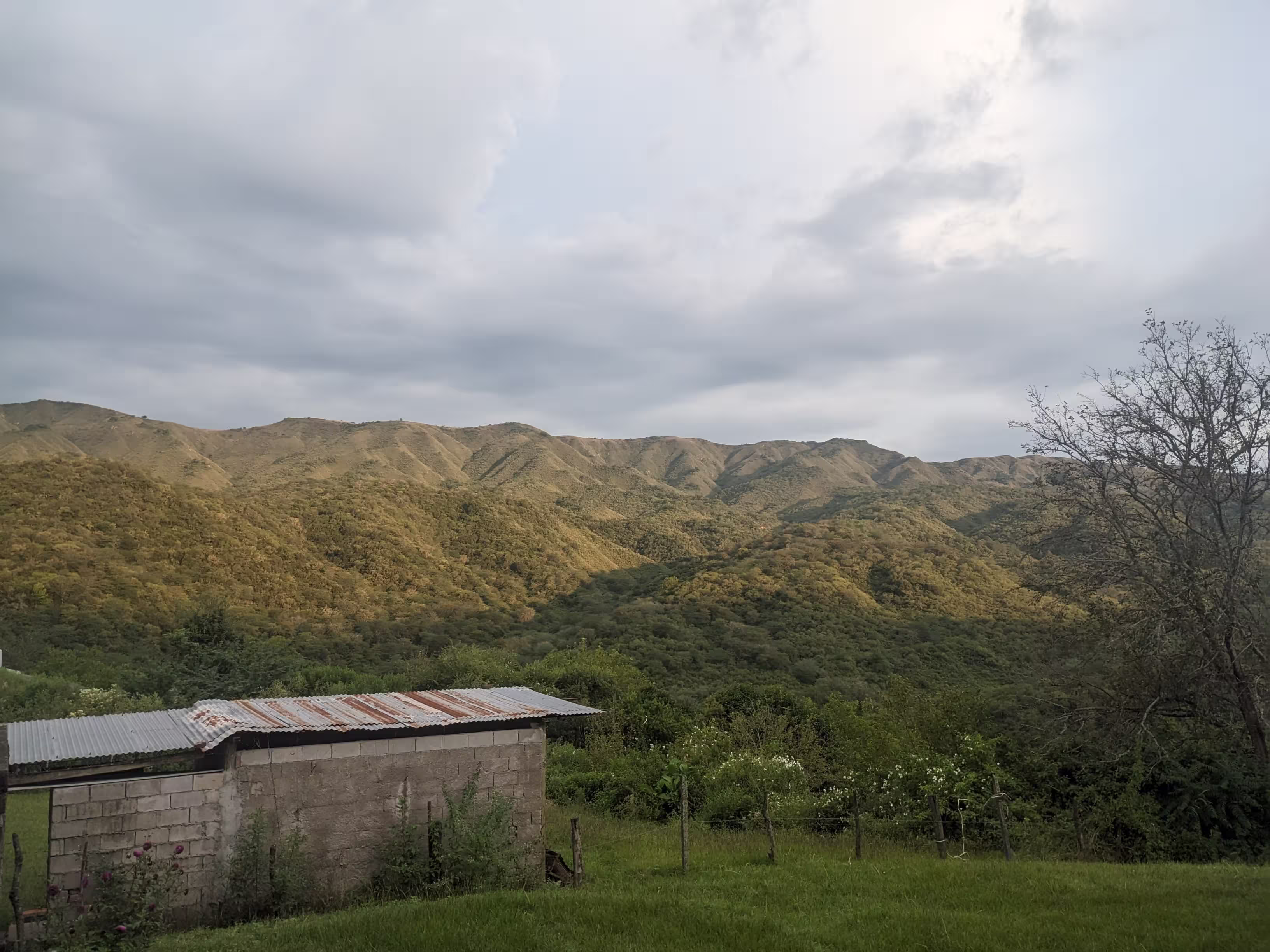 Vista de las montañas